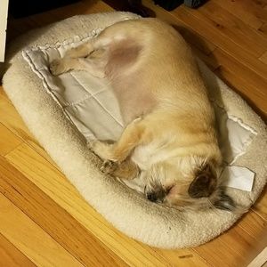 Meet your Posher, Kara